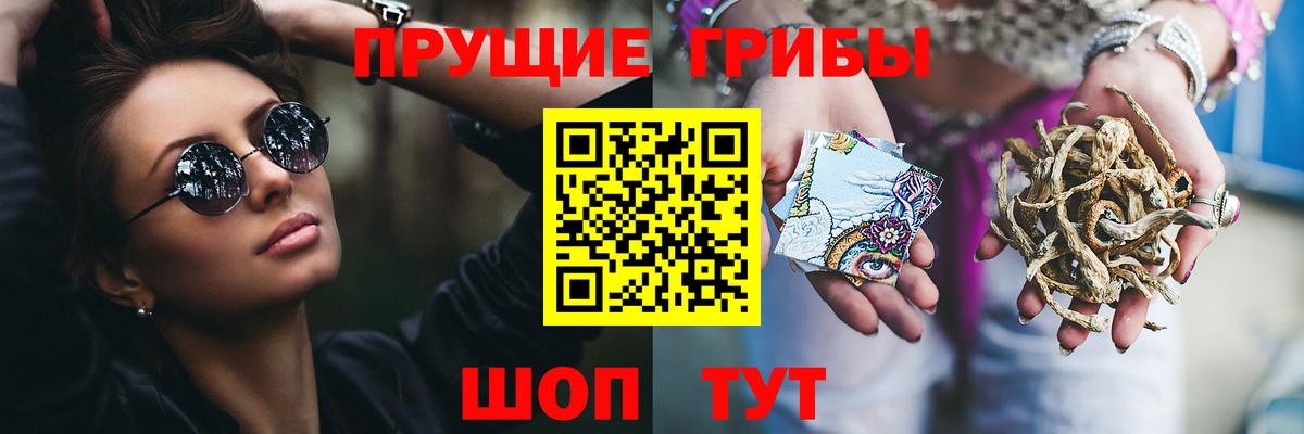 Галлюциногенные грибы Psilocybine cubensis Зерноград